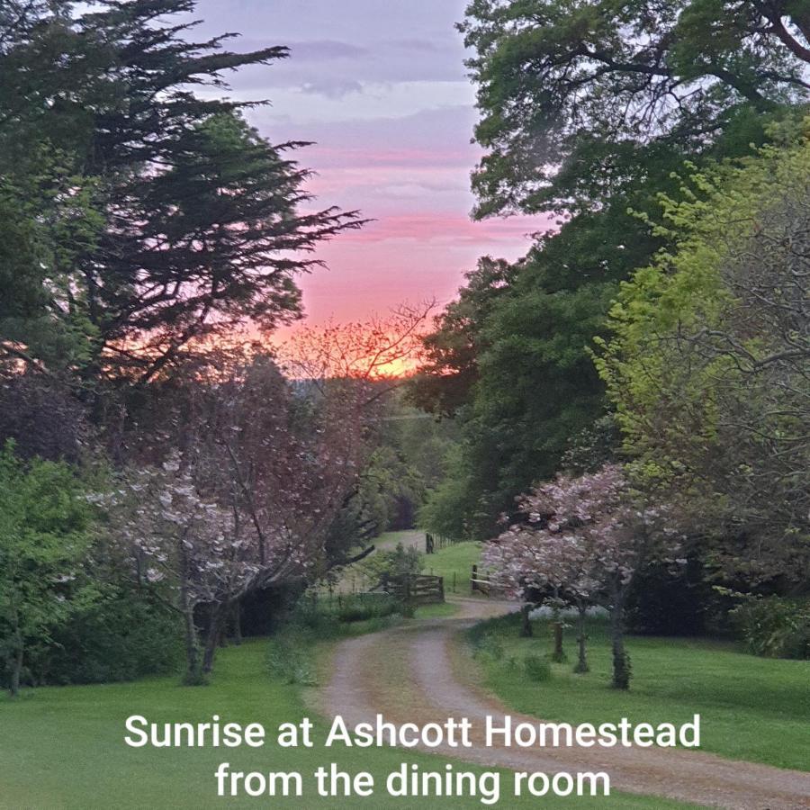 Ashcott Homestead Bed & Breakfast Takapau Dış mekan fotoğraf