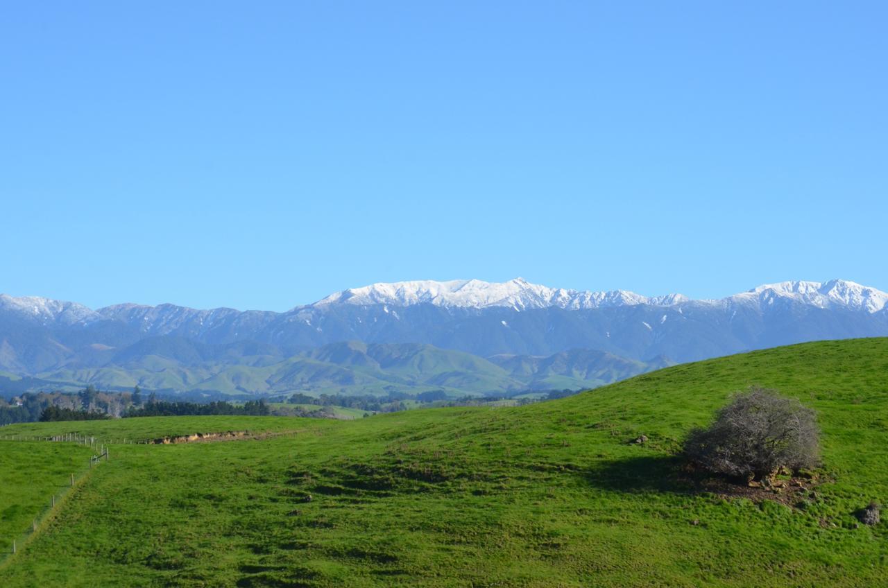 Ashcott Homestead Bed & Breakfast Takapau Dış mekan fotoğraf